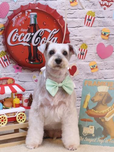 20230902ボルトくん